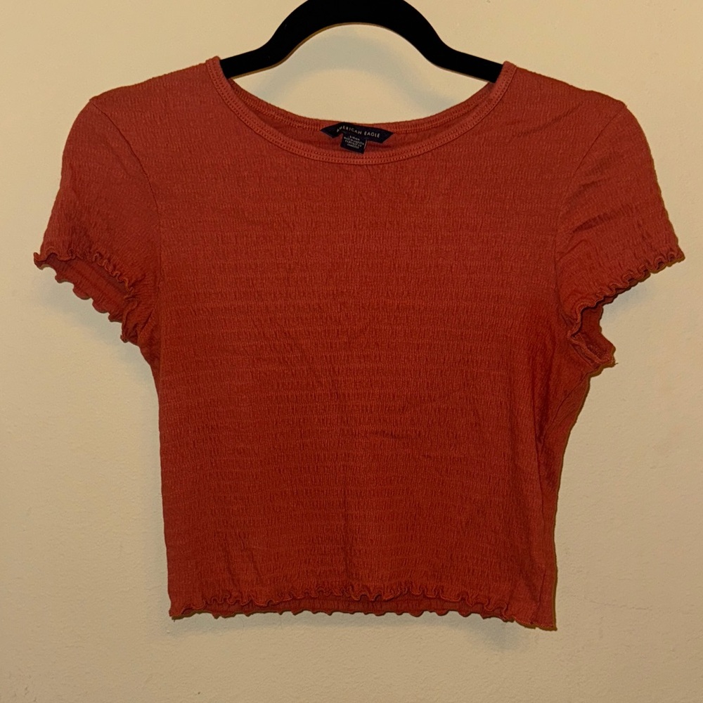 American Eagle Outfitters Rust Crop Top